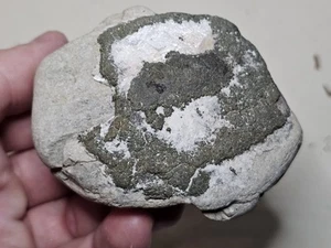 Pyrite On Limestone - From Lake Michigan Shore, Sheboygan, WI - Picture 1 of 6