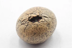 1994 Windstone Editions 94 Pena - Baby Dragon Hatching Egg Statue Figurine - Picture 1 of 5