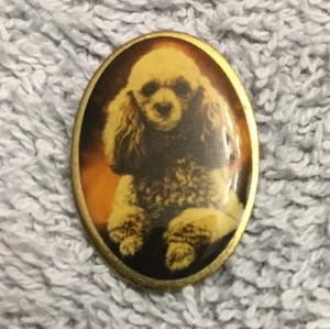 Otter House Cocker Spaniel Hund Welpe Tier Haustier Revers Hut Krawatte Tac Pin B32F - Bild 1 von 3