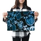 A3 - MRI Brain Scan X-Ray Images Poster 42X29.7cm280gsm #21825