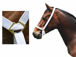1 " (25mm) Web Adjustable White Show Halter Welsh Pony Cob Native or Traditional - Picture 1 of 4