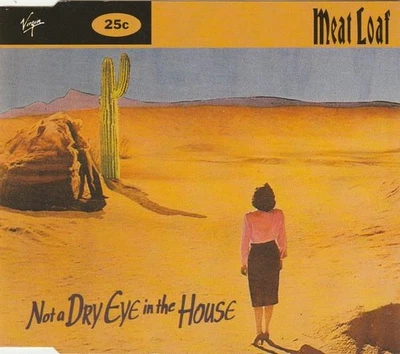 Meat Loaf Not A Dry Eye In the House CD UK Virgin 1996 VSCDT1567 - Image 1 of 2