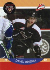 2014/15 Vancouver Giants - DAVID BRUMM