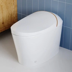 1-piece 1.1/1.45 GPF Dual Flush Elongated Smart Toilet Heated Seat, Auto Flush - Picture 1 of 13