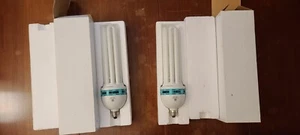 Studio Lighting 105W Florescent Bulbs (2 Total) - Picture 1 of 7