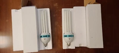 Studio Lighting 105W Florescent Bulbs (2 Total) - Image 1 of 4