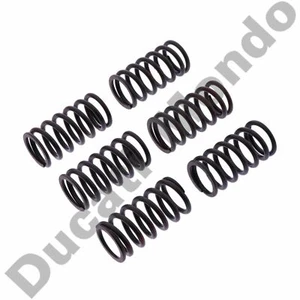 TRW Clutch springs for Ducati 1098 1198 748 Hypermotard 1100 M 750 900 1100 SS  - Picture 1 of 3