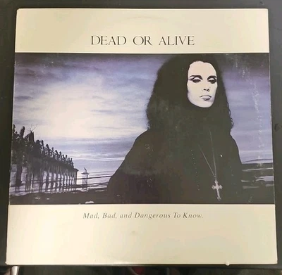 Dead Or Alive - Mad Bad And Dangerous To Know Vinyl LP EX Epic AL 40572 VTG  - Image 1 of 4