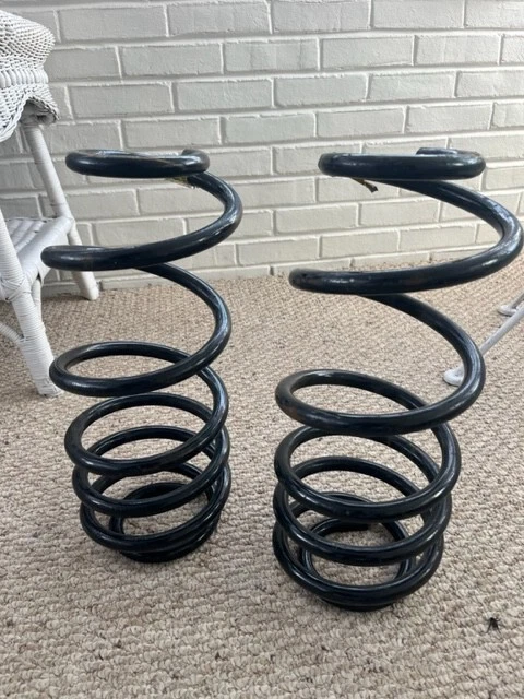 Muelles helicoidales traseros rebajadores Pontiac Foto 1 de 1