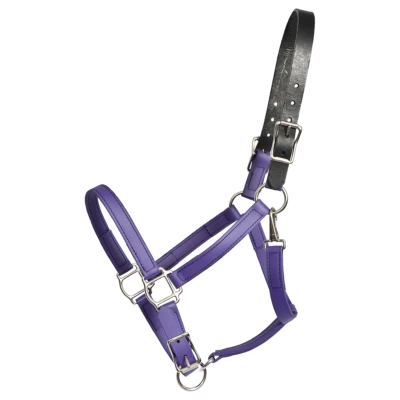 PFERDEGRÖSSE - FERTIG - lila WEIDEHALFTER und LEINE aus BETA BIOTHANE - Bild 1 von 2