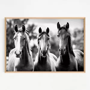 Black & White Horse Animal Art Large Print. Perfect for Home Decor - Foto 1 di 9