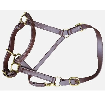 Neu 1" breit braun Farbe Beta Biothane Pferdehalfter mit Messingbeschlägen - Bild 1 von 4