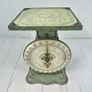 Pelouze Family Scale 24 LBS Chicago MFG Co Metal Counter Farmhouse Display Decor - Picture 1 of 13