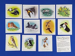 Cadbury 99 Flake Cards BIRDS IN SPRINGTIME set of 12 loose - Picture 1 of 11