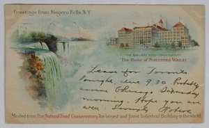 Saluti dalle Cascate del Niagara, NY. Cartolina Il Conservatorio degli Alimenti Naturali. - Foto 1 di 2