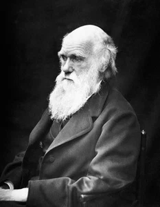 Póster de retrato fotográfico de Charles Darwin - 1869 - Imagen 1 de 1