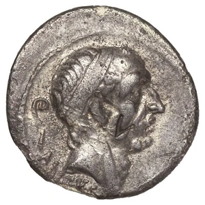 République romaine MARCIA Denier 56 BC Roi Ancus Marcius cheval RRC.425/1 argent - Imagen 1 de 2