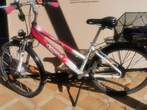 Pegasus Jugendrad, RH 40 - Bild 1 von 3