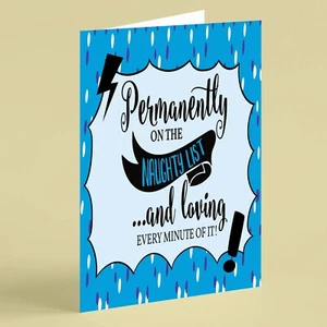 Permanently on the naughty list humour birthday card suitable for family friend - Picture 1 of 1