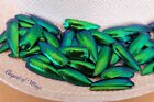 1000 Green Blue Elytra Sternocera Jewel Beetle Wings Jewelry Art Necklace Design