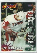 1994-95 Toledo Storm (ECHL) Norm Dezainde
