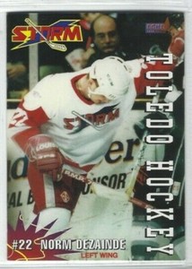 1994-95 Toledo Storm (ECHL) Norm Dezainde
