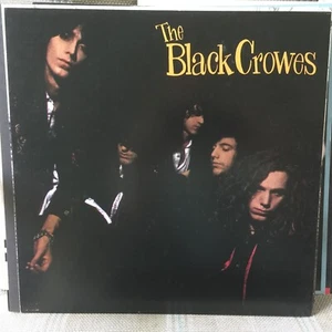 BLACK CROWES Shake Your Money - 2-seitiges PROMO LP Cover Slick / Poster 12"x12" - Bild 1 von 2