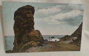 Scene on the Way to Pebbly Beach Catalina Island Antique Postcard California . - Picture 1 of 2