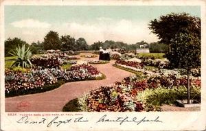 St. Paul, MN Flower Beds Como Park Postcard Undivided Back - Picture 1 of 2
