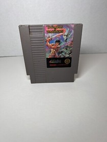 Wizards & Warriors (Nintendo | NES, 1989) Tested