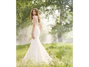 Blush JLM Couture Hayley Paige May Wedding Dress Lace Organza Silk 8 10 12 Ivory - Picture 1 of 12