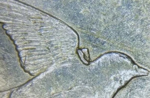 2008P Oklahoma State Quarter Bird Wing Die Break Chip Mint Error Coin - Picture 1 of 3
