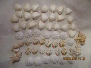 SEA SHELLS FLOWER SEA SHELLS  CONCH - Picture 1 of 5