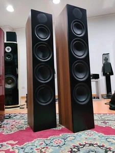 SCANSONIC L20 PAAR BODENLAUTSPRECHER EX DEMO BY RAIDHO  - Bild 1 von 13