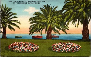 Entrancing Palm fringed shore line in sunshine state FLORIDA LINEN POSTCARD D15 - Picture 1 of 2