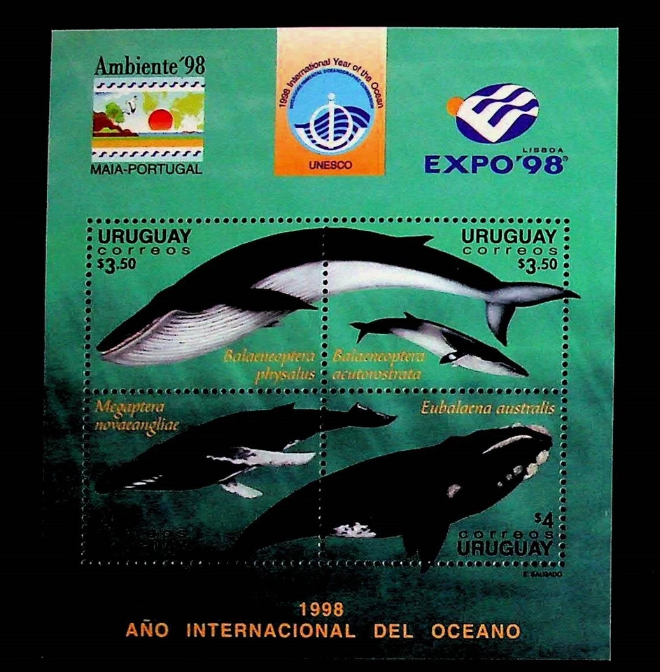 URUGUAY Sc 1723 NH SOUVENIR SHEET OF 1998 - SEA LIFE - WHALES - (AS24) - Image 1 of 1