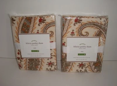 Pottery Barn Felicity Paisley Euro Sham Par Set Algodón Orgánico Franela Floral Foto 1 de 4