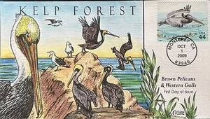 COLLINS PINTADO A MANO 4423 Kelp Forest Monterey CA Pelícanos Marrones y Gaviotas del Oeste - Imagen 1 de 1