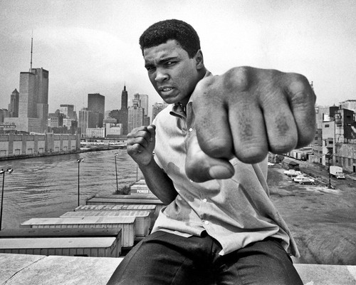 Muhammad Ali Punch Black And White 8x10 Picture Celebrity Print | eBay
