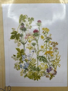 Thea Gouverneur Kräutertafel Kreuzstich Set # 424A 18 Stück Botanisch Holland - Bild 1 von 5