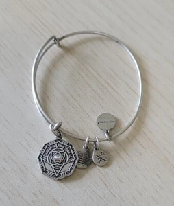 Alex And Ani Bridesmaid Sister Of My Heart Silvertone Expandable Bangle Bracelet - Picture 1 of 6