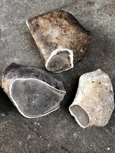 25 + Lbs Large Pedernales Amoeba CHERT Stone Flint Knapping Arrowhead - Picture 1 of 4