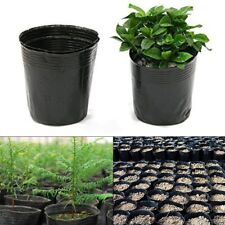 Nutritional Plant Containers in Black Plastic Pack of 100 for Garden Use
