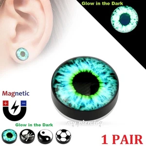 Magnetic Fake Plug Epoxy Dome Glow in the Dark Top Black Acrylic Cheater Plugs - Picture 1 of 5