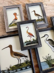 Antique Indian Reverse Glass Paintings - Birds - Picture 1 of 19