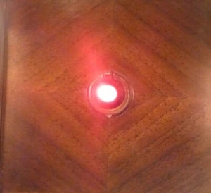 BRUNSWICK PR148C / RADIOLA AR-1036: PEQUEÑA PUERTA DE MADERA con INDICADOR DE ENCENDIDO Y APAGADO JOYA - Imagen 1 de 3