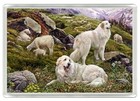 PYRENEAN MOUNTAIN DOGS DOG FRIDGE MAGNET GREAT GIFT
