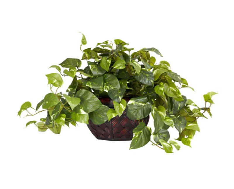 Потос с декоративной вазой шелковое растение реалистичный почти натуральный домашний садовый декор - Изображение 1 из 1