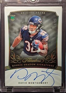 DAVID MONTGOMERY Rookie Auto 2019 Panini Flawless Shadow Signatures SP /25 RC