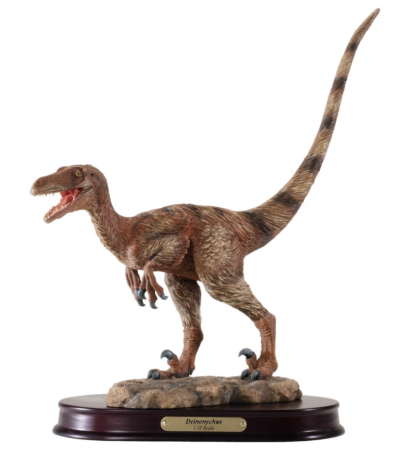 Modelo de dinosaurio terminado Deinonychus escala 1/10 réplica por DinoStoreus Foto 1 de 1